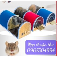 Bẫy Chuột Thông Minh , Lồng Bẫy Chuột Thông Minh Kích Thước 50x23x21 Dễ Dàng Bắt Chuột To và Chuột Nhỏ