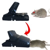 Bẫy chuột tự động - Giải pháp tối ưu cho nhiễm trùng chuột