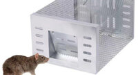 Bẫy chuột tự động thông minh có thể tái sử dụng lâu dài