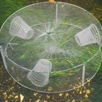 Bẫy Cua Mồi Tôm Tôm Crawfish Tôm Di Động Gấp Lưới Đúc Bẫy Câu Cá Lưới