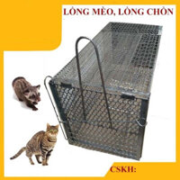 Bẫy Đa Năng, Lồng Bẫy Chuột, Mèo Hoang, Sóc Bẫy Chồn ( 210mmx210mmx410mm) 2