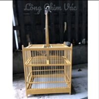 bẫy Huế dành cho chim chào mào ( TẶNG CÓNG ĂN UỐNG cho chim)