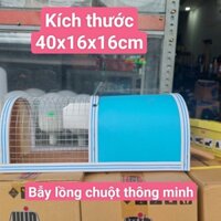 Bẫy lồng chuột loại trung, bẫy chuột thông minh, bắt chuột 1 lần nhiều con có khi cả đàn chuột, bẫy chuột thông minh