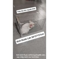 bẫy mèo hoang thép dày cỡ lớn