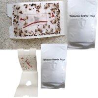 Bẫy mọt bọ thuốc lá và con ngài bằng keo và Pheromone