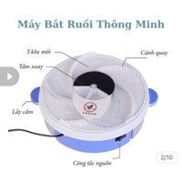 bẫy ruồi thông minh