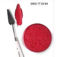 Bay vẽ tranh chính hãng Eugenia Ermilova chống rỉ sét (Nga)