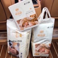 BBS Bỉm Yiying xuất Âu dán/quần S72/M60/L52/XL44/XXL40/XXXL36 NK chính hãng BBS
