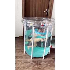 Bể bơi thành cao Dolphin