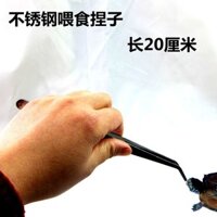 Bể Cá Ăn Thủy Sinh Bể Thực Vật Thủy Sinh Kẹp Chiều Dài 30cm Cong Miệng Kẹp Thép Không Gỉ Kẹp Rùa Bể Cung Cấp Đặc Biệt O