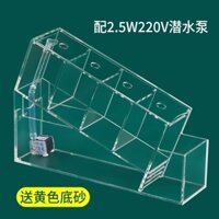 Bể cá betta bằng mica acrylic nhiều ngăn+ bể cá mini để bàn có lọc thiết kế đẹp mắt