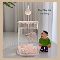 Bể cá betta có đèn ngủ sáng tạo, bể cá để bàn, BỂ THUỶ TINH