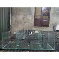 bể cá Betta/ guppy kích thước 501515 kính 5 việt nhật bể cá 4 ngăn