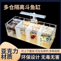 Bể cá Betta hệ thống cách ly đa lưới kết hợp bể sinh thái acrylic không thay nước đặc biệt để bàn n