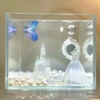 Bể cá Betta Thái mới cảnh quan Nhà thờ Sophia ở Harbin 3D lớn váy cưới pha lê kim cương cảnh quan vi mô chữa lành