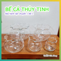 Bể cá - Bình nuôi cá thủy tinh - Bể cá thủy sinh