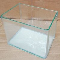 Bể cá cảnh ĐÚC để bàn kích thước 20cm x14x16 cm