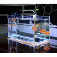 Bể cá cảnh mini 25cm và phụ kiện trang trí