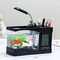 Bể cá cảnh mini để bản