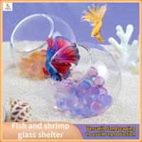 Bể cá cảnh quan Aquarium trang trí đồ trang trí trong suốt tránh cung đấu cá cư trú cua nhỏ tránh hang cá bảy màu tôm trang trí bể nuôi