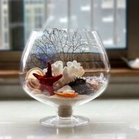 BỂ CÁ CHẬU CÂY THỦY TINH CÓ CHÂN