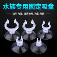 Bể cá cốc hút bể cá kẹp cố định đa chức năng ống dẫn oxy ống nước cố định cốc hút dây khóa cố định mạnh mẽ 1.3