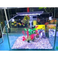 Bể cá để bàn 30x20x20 kính việt nhật. combo đầy đủ chỉ việc thả cá.