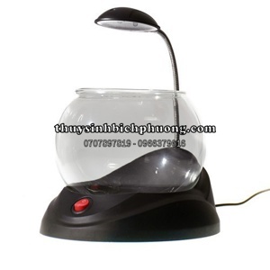 Bể cá để bàn mini tròn