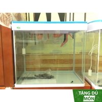 Bể cá để bàn văn phòng 60cm MJ-560, kính đúc nhập khẩu Minjiang