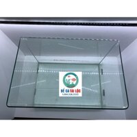 Bể cá, hồ cá đúc kích thước dài 50cm rộng 33cm cao 35cm