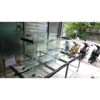 Bể cá kính, Bể cá cảnh, Bể cá 158x40x60 đẹp