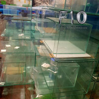 Bể cá kính việt nhật 20x15x20 CM dán giấu keo mài vi tính - bể làm kỹ đẹp bảo hành giò nước 3 năm