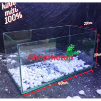 bể cá mini 40x20x20 kính 5li mới 100% hợp phong thuỷ