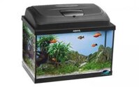 Bể cá mini Aquael Classic Oval Aquarium Set 40 và 60