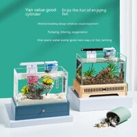 Bể Cá Mini Bằng Kính Siêu Trắng Để Bàn Trang Trí Phòng Khách