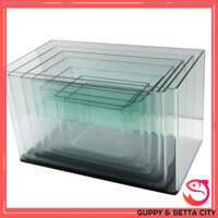 Bể cá mini | Bể kính đúc size 22x15x17cm | Bể cá cảnh, hồ thủy sinh mini tặng bèo