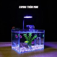 Bể Cá Mini Để Bàn 20x14x14cm Nhỏ Xinh Dễ Thương Phù Hợp Nuôi Cá Cảnh Nhỏ Để Bàn