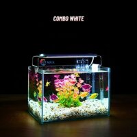 Bể cá mini để bàn 22x15x15cm CHỌN MẪU với nhiều mầu có kèm phụ kiện