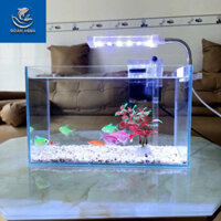 Bể cá mini để bàn có phụ kiện sỏi nền cây nhựa SIÊU RẺ