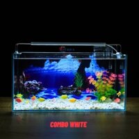 Bể cá Mini Để Bàn Có Tranh Dán  Kích Thước D40cm x R20cm x C20cm  Giúp Hồ Cá Đẹp Hơn