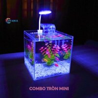 Bể cá mini để bàn CUBIC 20 combo nhiều mẫu nhỏ xinh phù hợp nuôi cá cảnh để bàn