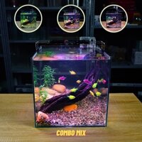 Bể Cá Mini Để Bàn CUBIC 30CM Nhiều Mẫu Phù Hợp Nuôi Cá Để Bàn , Làm Hồ Thuỷ Sinh