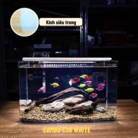 Bể Cá Mini Để Bàn ĐÚC SIÊU TRONG 40x24x25cm Phù Hợp Nuôi Cá , Làm Hồ Thuỷ Sinh Mini