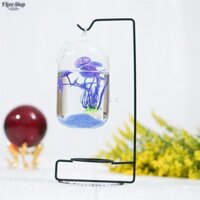 Bể cá mini để bàn giá treo phong cách cao 28 cm mẫu 02 (Tặng combo phụ kiện trang trí đầy đủ)