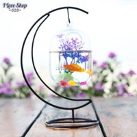 Bể cá mini để bàn hình cung trăng, bể cá mini mặt trăng mẫu 2, bể cá phong thủy