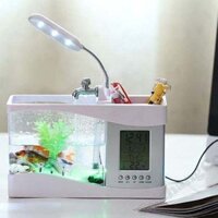 Bể cá mini để bàn kiêm đồng hồ