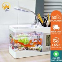 Bể cá mini để bàn làm việc trang trí FREESHIP]