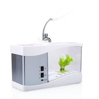 Bể cá mini để bàn làm việc