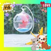 Bể cá mini để bàn phong thủy hình bán nguyệt màu trắng 01 ( Tặng kèm combo phụ kiện trang trí )