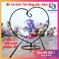 Bể cá mini để bàn treo mini KHUNG TRÁI TIM tặng phụ kiện trang trí